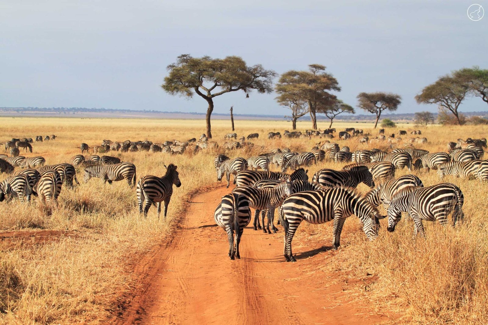 Tarangire National Park