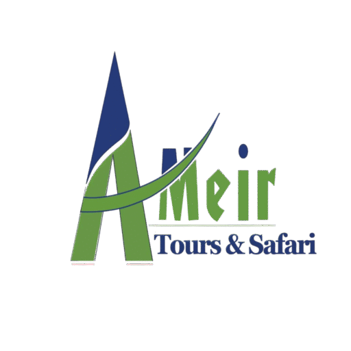 Ameir Tour