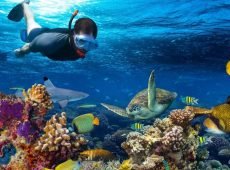 Snorkeling-In-Zanzibar-1000x500