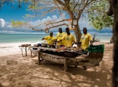 serving-lunch-safari blue